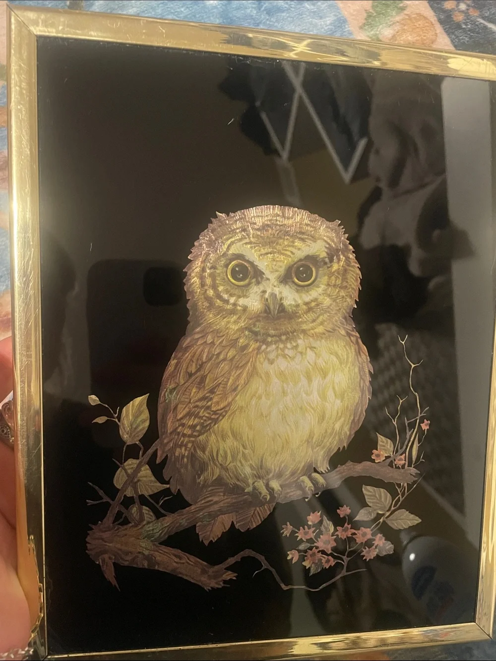 Framed Golden Owl Wall Art - Black Background